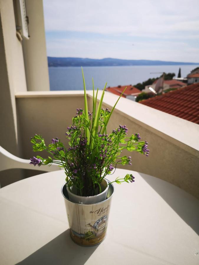 Anic Apartment *